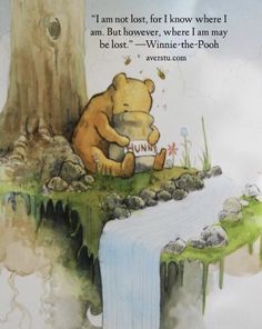 winnie the pooh is sitting on top of a waterfall and holding a sign that says i am not lost, i now where i am