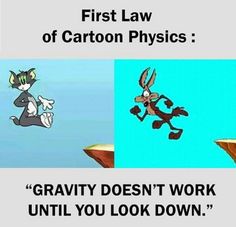 the first law of cartoon physics gravity doesn't work until you look down