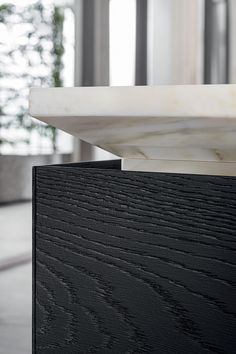 a close up of a black and white table with a plant in the back ground