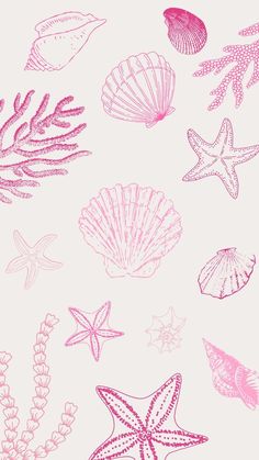 pink sea shells and starfish on a white background