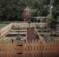 an outdoor garden with wooden fences and plants