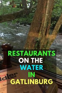 the restaurant is on the water in gatlinburg, tennessee with a river running through it