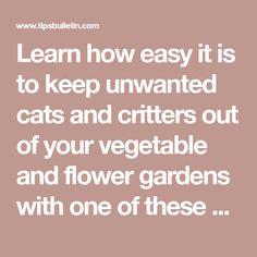 the words learn how easy it is to keep unwanted cats and critters out of your vegetable and flower gardens with one of these