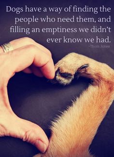 a person petting a dog's paw with the quote dogs have a way of finding the people who need them, and filling an emptness we didn't ever know we had