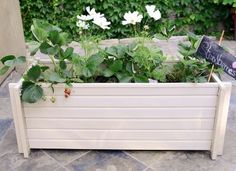 a planter box with strawberries and flowers in it on the ground next to a sign