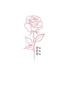 a drawing of a rose with chinese writing on the bottom and lowercase letters below it