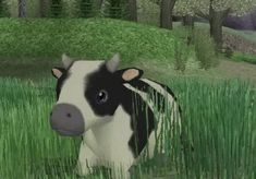 a black and white cow standing in tall grass