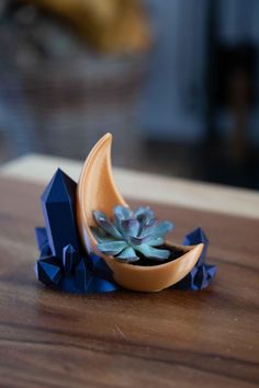 a succulent plant sitting in a small bowl on top of a wooden table