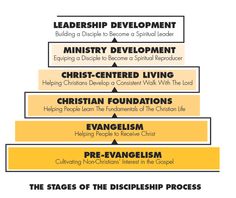 the seven stages of the church's life cycle, with text above it and below