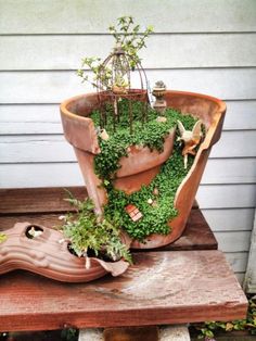 a potted plant sitting on top of a wooden table