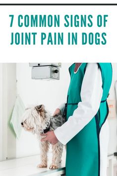 There are several different signs of joint pain in dogs that you should know. You can learn more by checking out our guide here. Diy Dog Treats For Joints, Remedies For Arthritic Dogs, What Can I Give My Dog For Pain, Deep Pressure Therapy Dog, Dog Paw Injury, Dog Whining, Meds For Dogs, Muscle Atrophy