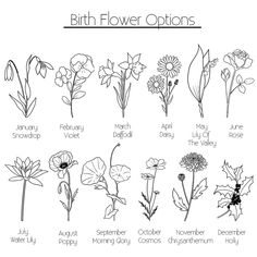 the birth flower options for each month