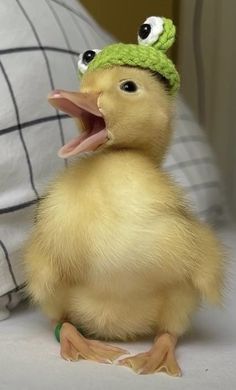 a little duck with a knitted hat on it's head and its mouth open