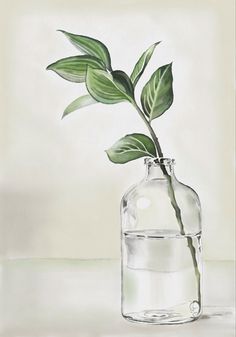 a painting of a plant in a glass vase with water and green leafy stems