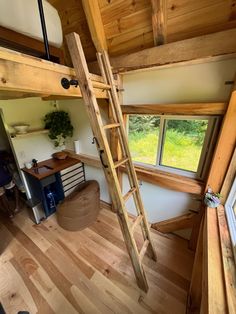 there is a loft bed with a ladder on the wall and windows in the room