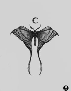 a black and white drawing of a butterfly with the moon in its wings on a gray background