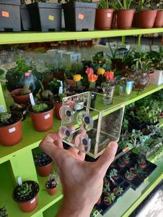 a person is holding up an object in front of some potted plants on shelves