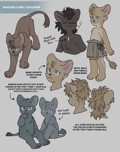 an animal character sheet with different types of cats and kittens on it's sides