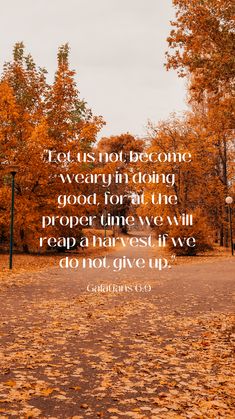 an image of a park with trees and leaves on the ground, in front of a quote that reads it's not become wearinfooding good for at the proper time