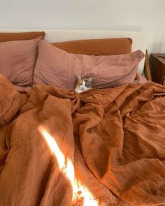 a cat laying on top of a bed covered in brown sheets and blankets with its head resting on the pillow