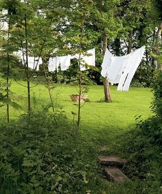 clothes hanging out to dry in the woods