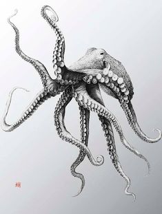 an ink drawing of an octopus with bubbles on its back and tentacles attached to it