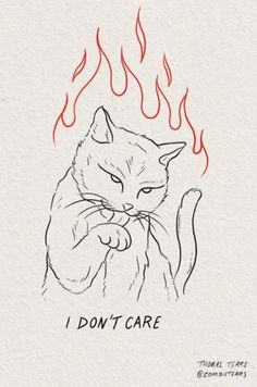 a drawing of a cat with flames coming out of it's face and the words i don't care