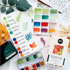 the contents of a watercolor palette laid out on a table with leaves and other items