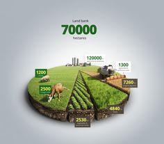 an info graphic shows the amount of land in different parts of the world, including trees and animals