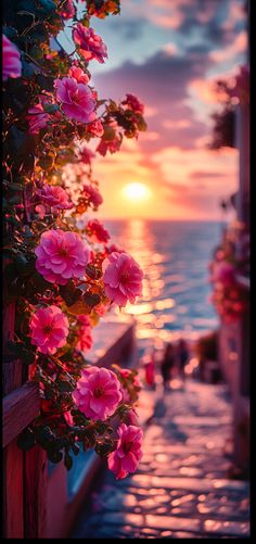 the sun is setting over the ocean with pink flowers growing on the side of it