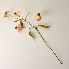 Fall Coneflower Stem Magnolia Fall Decor, Magnolia Leaf Garland, Magnolia Decor, Magnolia Leaf Wreath, Linen Candle, Austin Rose, Metal Photo Frames, Fall Florals, Eucalyptus Garland