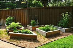 several raised garden beds with plants growing in them on the side of a fenced yard