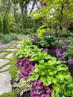 a garden filled with lots of green and purple flowers on top of a stone walkway