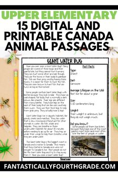 an animal passage with the text upper elementary 15 digital and printable canada animals