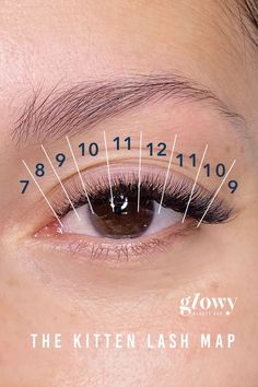 #Kitten_Eyelash_Extensions_Mapping #Short_Full_Lash_Extensions_Map #Lash_Extensions_Kitten_Eye #L_Curl_Lash_Map Kitten Lash Mapping, Lash Mapping Natural Eye, Kitten Eyelash Extensions Mapping, Lash Extensions Kitten Eye, Short Full Lash Extensions Map, Kitten Eyelashes, Kitten Eye Lash Map, Kitten Lash Map, Kitten Eye Lash Extensions