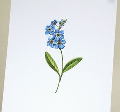 a blue flower with green leaves is shown on a white card that reads, i love you