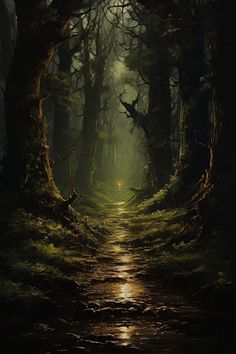 an image of a path in the woods that is lit up by light coming from behind