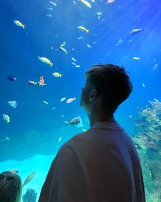 two people looking at fish in an aquarium