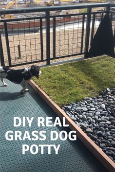 DIY balcony dog potty Balcony Dog Potty, Dog Poop Area, Train Dog, Outdoor Dog House