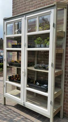 a display case with plants in it on the side of a brick wall next to a building