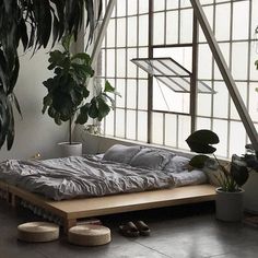 a bed sitting in the middle of a room with lots of plants on top of it