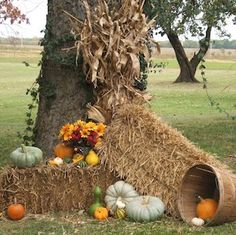 hay and pumpkins are arranged around a tree