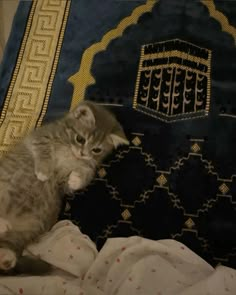 #cutecat #cutecore #catsofinstagram #catlover #catlife #islam #islamicquote #quran #love #god #prayer #praying La Mecca, Katt Grejer, The Olsen Twins, Foto Top, Olsen Twins, Image Chat, Love In Islam, Cute Cats Photos, Mary Kate