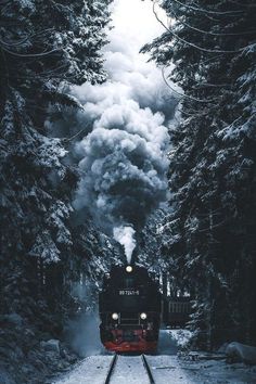 a train traveling through a forest filled with snow covered trees and steam pouring out of the engine