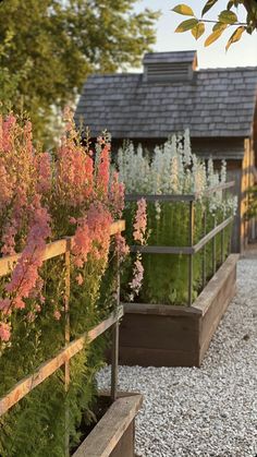 the garden is full of flowers and plants in wooden planters, along with gravel