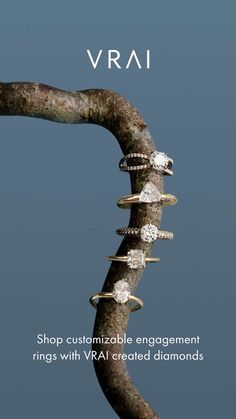 an advertisement for the vrai diamond ring collection, featuring five rings on a tree branch