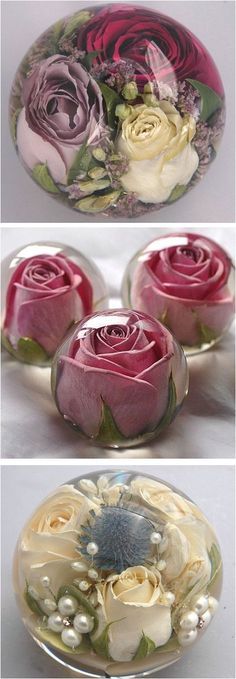 three different pictures of flowers on glass plates with pearls in the bottom one is pink and white