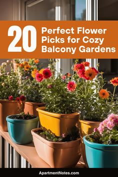 colorful flower pots with text overlay that reads 20 perfect flower picks for cozy balcony gardens