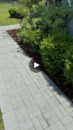 a brick walkway leading to a house with trees in the back ground and bushes on either side