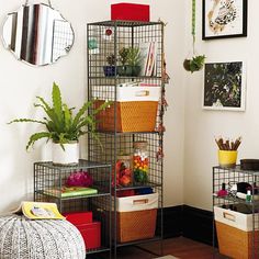 a room filled with lots of different types of storage containers and plants on top of metal shelves